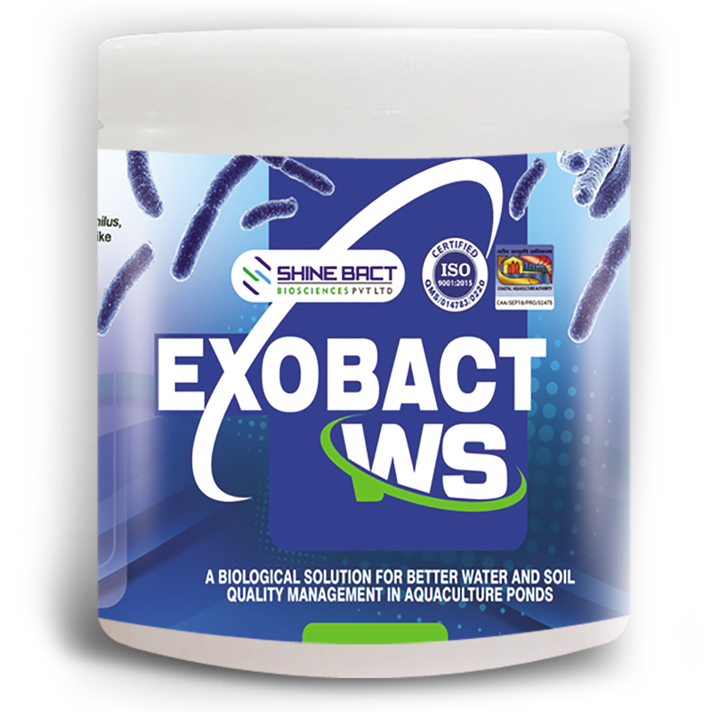 exobact