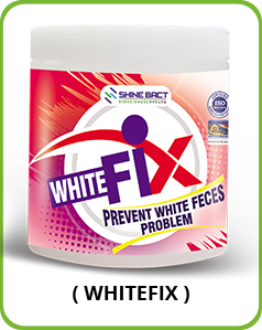 Amfree